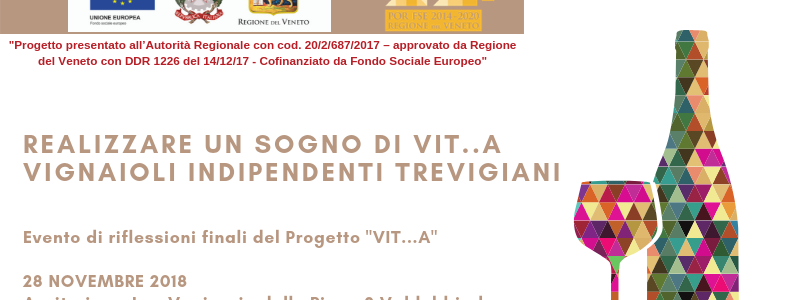 Realizzare un sogno di VIT..A – Vignaioli Indipendenti Trevigiani